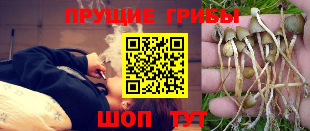Галлюциногенные грибы Magic Shrooms Уссурийск