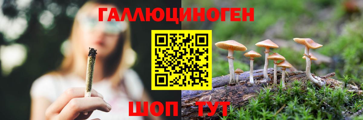 Где продают наркотики?  Меф   ГАШИШ  APVP СК   КОКАИН  Уссурийск  Каннабис  Вход с VPN 