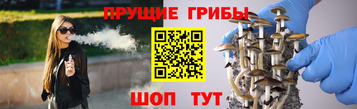 Уссурийск  Псилоцибиновые грибы Psilocybe  дарнет шоп  Вход с VPN  Галлюциногенные грибы прущие грибы 